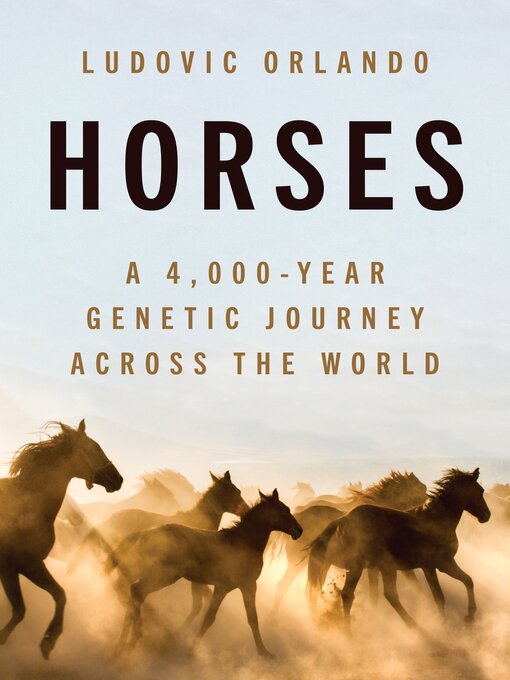 Cover image for Horses